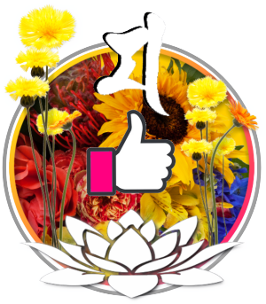 SNS�Łu�����ˁv��������J�^�摜